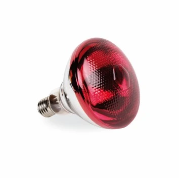Ampoule infrarouge 175W
